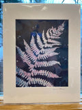 Sand Pond Studio Artwork by Anne Stuer - Consignment