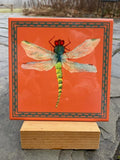 Nature Trivets by Leslie Evans