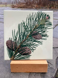 Nature Trivets by Leslie Evans