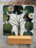 Nature Trivets by Leslie Evans