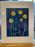 Sand Pond Studio Artwork by Anne Stuer - Consignment