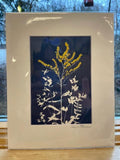 Sand Pond Studio Artwork by Anne Stuer - Consignment