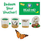 Butterfly Garden Growing Kit with Voucher