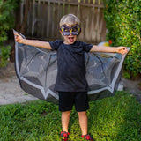 Pollinators Wings & Mask