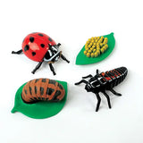 Lady Bug Cycle Figurines
