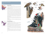 National Geographic Field Guide to the Birds of the United States and Canada―East, 2nd Edition