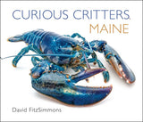 Curious Critters Maine