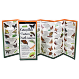 Caterpillars of Eastern North America