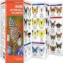Pocket Naturalist Guide-Maine Butterflies & Pollinators