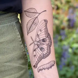 Nature Tats Temporary Tattoos