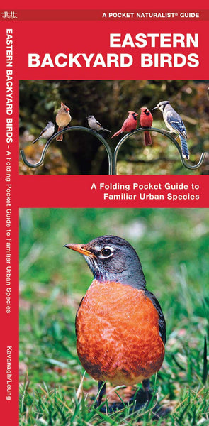 Pocket Naturalist Guide-Eastern Backyard Birds