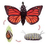 Folkmanis Monarch Life Cycle Hand Puppet