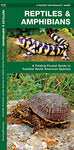 Pocket Naturalist Reptiles & Amphibians