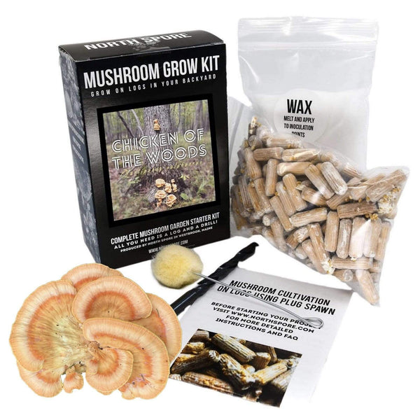 North Spore Organic Chicken of the Woods Mushroom Outdoor Log Kit with Spawn