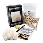 North Spore Organic Lion's Mane Mushroom Outdoor Log Kit with Spawn
