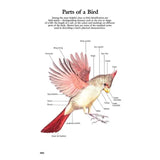 Book of North American Birds
