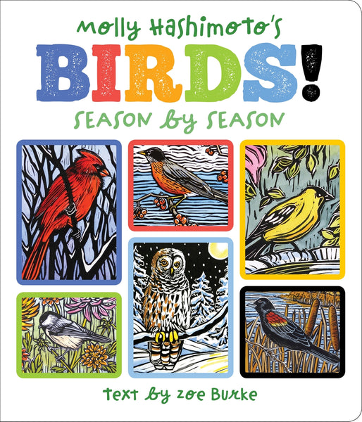 Molly Hashimoto's Birds!: Season by Season