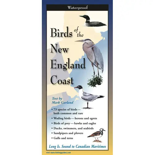 Birds of New England Coast Folding Guide