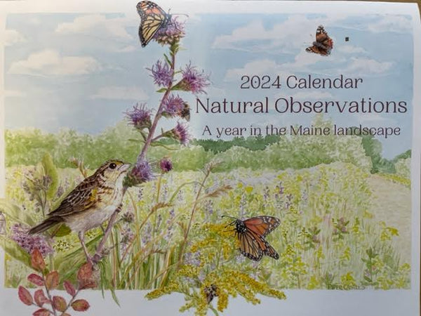 Natural Observations: A Year in The Maine Landscape 2024 Calendar