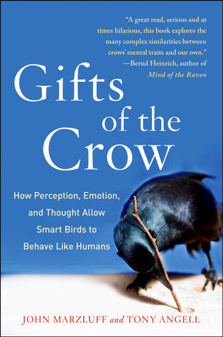 Gifts of the Crow: How Perception, Emotion, and Thought Allow Smart Birds to Behave Like Humans