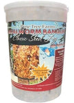 Mealworm Banquet Classic Seed Logs