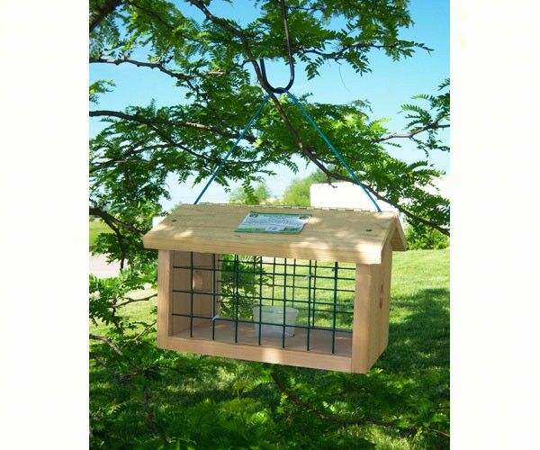 Aspen Song Bluebird Mealworm Feeder (FOR PICK-UP ONLY)