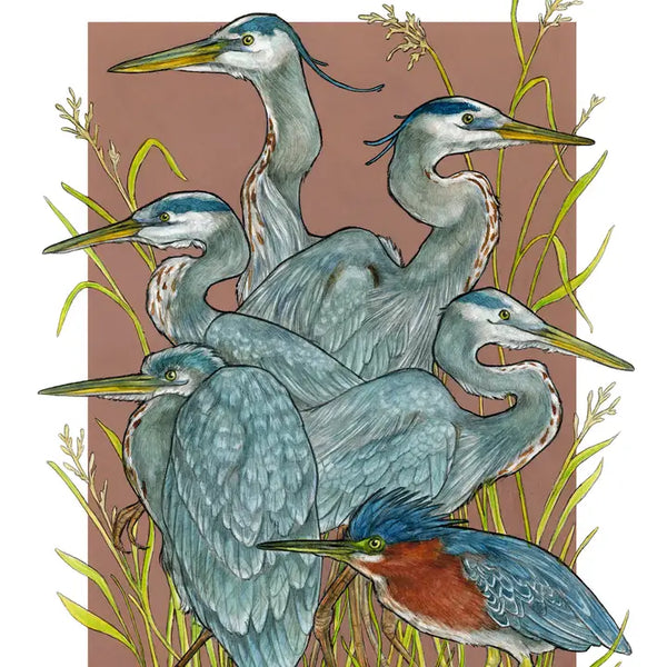 A Siege of Herons 11"x14" Print - by Sarah Draws Things