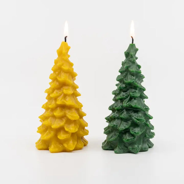 Evergreen Beeswax Tree - Yellow or Green