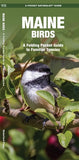 Maine Birds - A Folding Pocket Guide