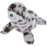 Stuffed Harbor Seal