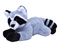 Ecokins Racoon 12"