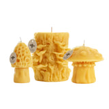 Beeswax Holiday Nature Candles by Big Dipper Wax Works