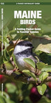 Pocket Naturalists - Maine Birds