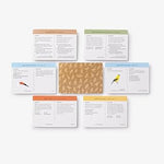 Sibley Birder's Trivia: A Card Game: 400 Questions to Test Every Birder's Knowledge