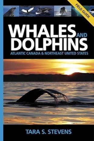 Whales & Dolphins Field Guide