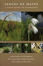 Sedges of Maine by Glen H. Mittelhauser, Matt Arsenault, Sally C. Rooney, Don Cameron, Alison C. Dibble, Arthur Haines and Jill E. Weber