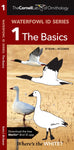 Waterfowl ID Series #1 - The Basics