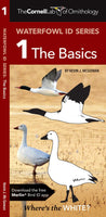 Waterfowl ID Series #1 - The Basics