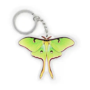 Allison Stoiser Acrylic Key Chains