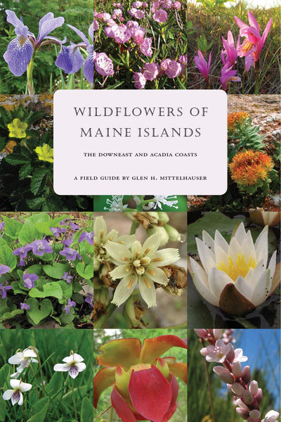 Wildflowers of Maine Islands - The Downeast and Acadia Coast - A Field Guide by Glen H. Mittelhauser