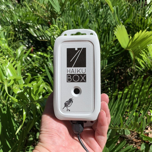 Haiku Box: Bird Call Identifier & Bird Song Recognition