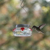 Mason Jar Hummingbird Nectar Feeder - 8oz