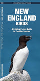 New England Birds Pocket Naturalist Guide