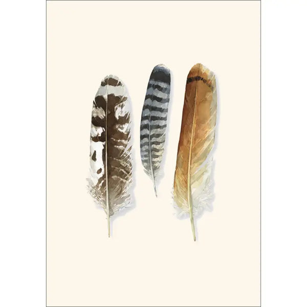 Raptor Feather Notecards