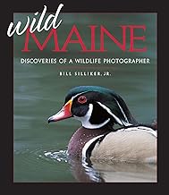 Wild Maine - Discoveries of a Wildlife Photographer