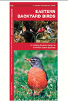 Pocket Naturalists - Eastern Backyard Birds