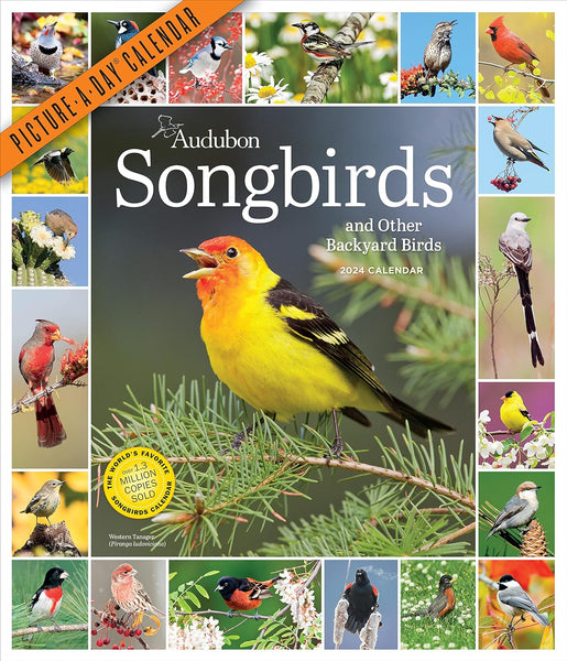 Audubon Songbirds & other Backyard Birds 2024 Calendar