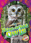 Who's Hoo? Owl! - Saw-whet Owls