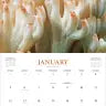 Fantastic Fungi Wall Calendar 2025