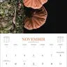 Fantastic Fungi Wall Calendar 2025